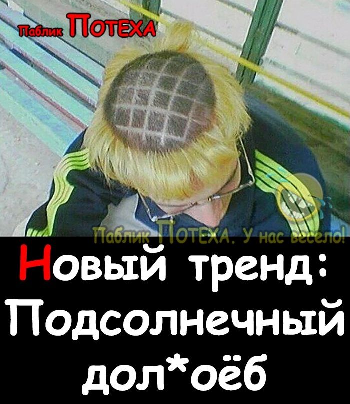 Подсолнечный долоёб