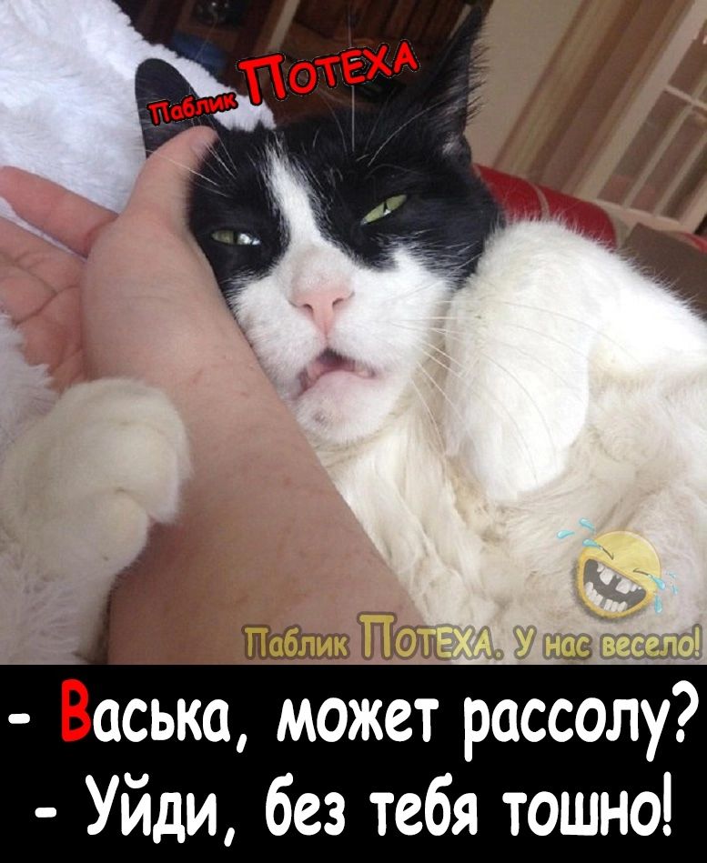 Васька может рассолу Уйди без тебя тошно