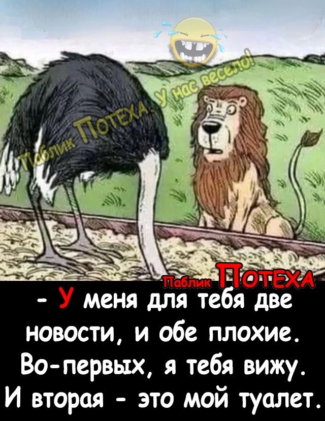 У меня для тебя две новости и обе плохие Во первых я тебя вижу И вторая это мой туалет