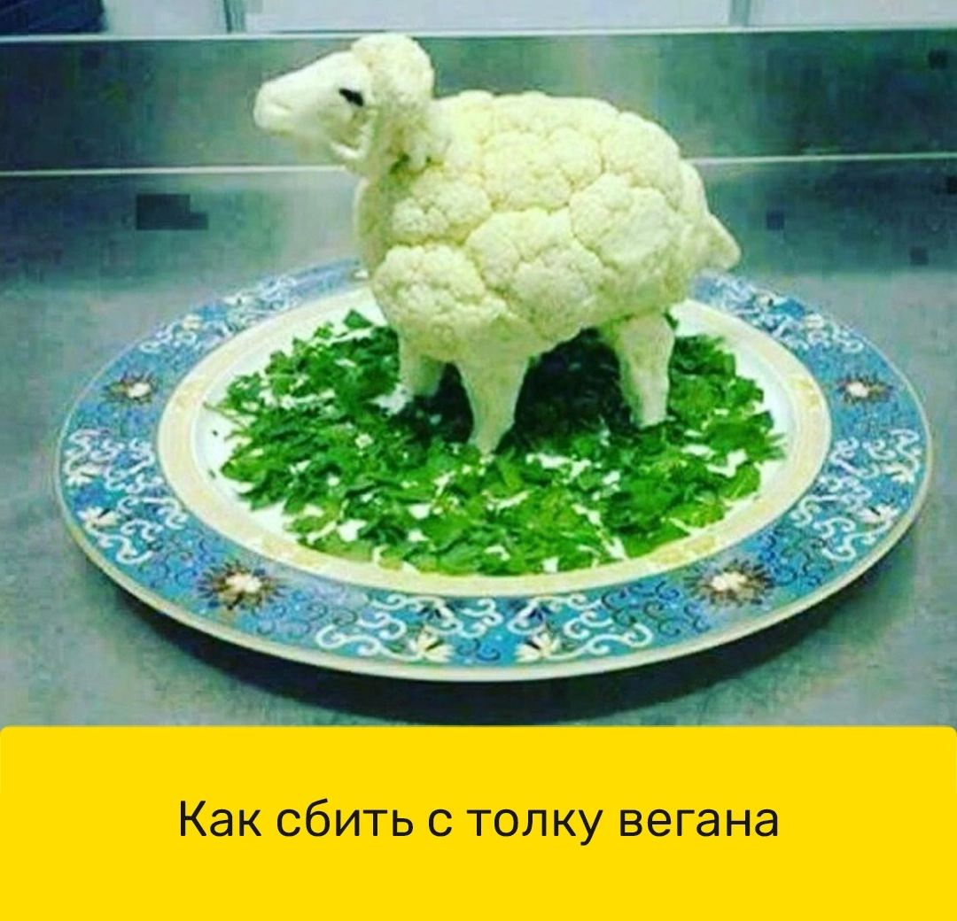 Как сбить с толку вегана