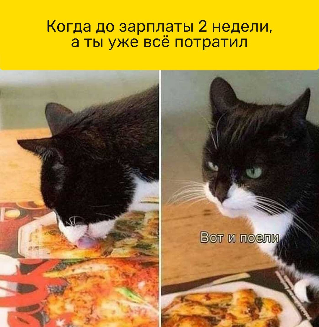 Когда до зарплаты 2 недели а ты уже всё потратил