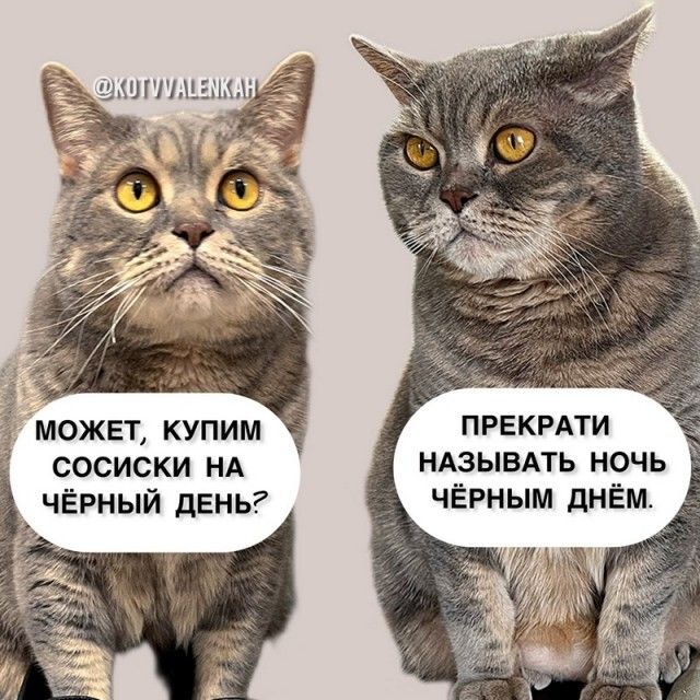 МОЖЕТ КУПИМ ПРЕКРАТИ СОСИСКИ НА НАЗЫВАТЬ НОЧЬ ЧЁРНЫЙ ДЕНЬ ЧЁРНЫМ ДНЁМ