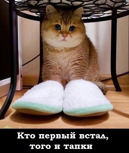 Кто первый встал того и тапки