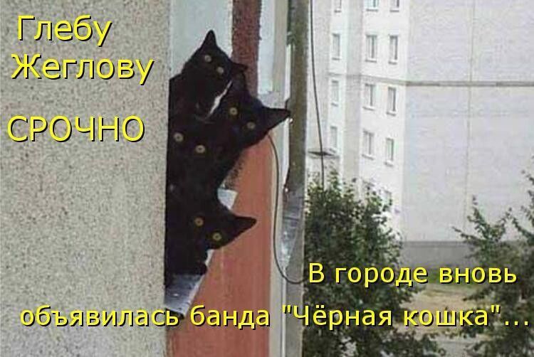 5 Мелебу ЗЛ ЕЛ СРОБНО