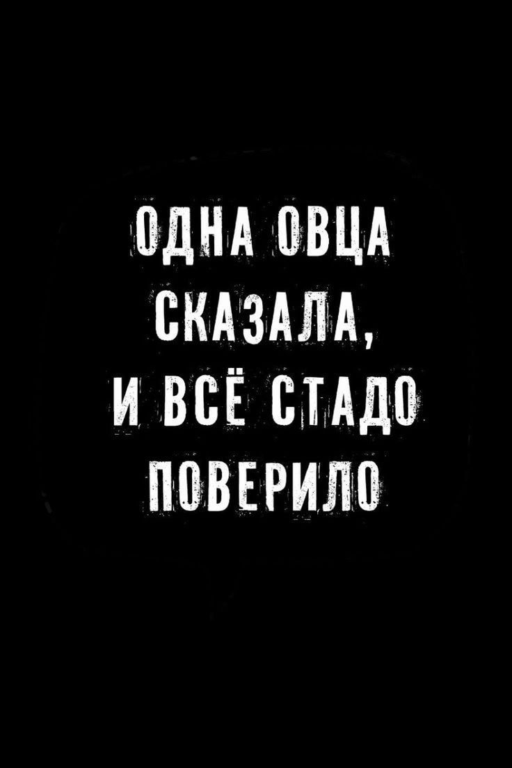 ОДНА ОВЦА СКАЗАЛА И ВСЁ СТАДО ПОВЕРИЛО