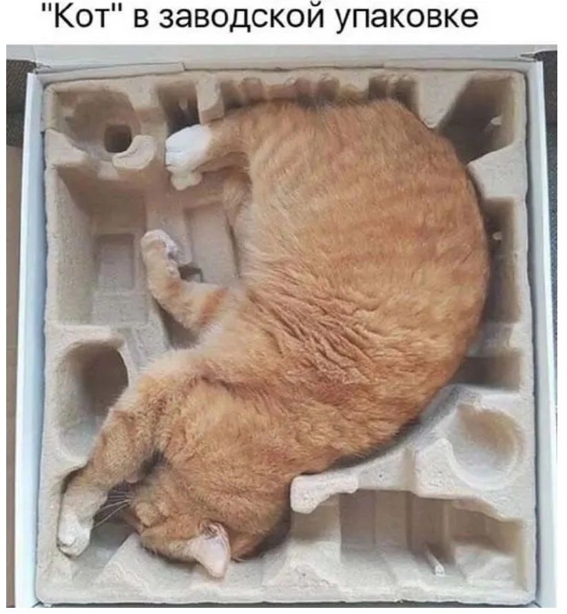 Кот в заводской упаковке