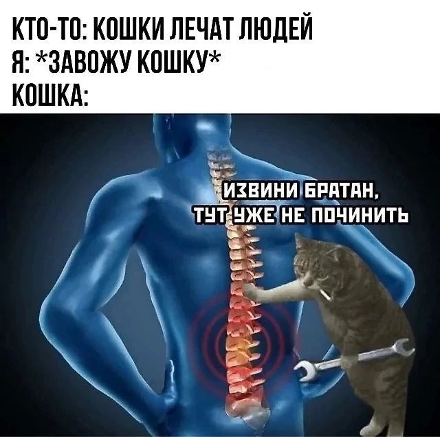 КТО ТО КОШКИ ЛЕЧАТ ЛЮДЕЙ Я ЗАВОЖУ КОШКУ КОШКА ивинишпдтин ХТУТ ЖЕ НЕ ПОЧИНИТЬ О э К П З 3 я 37 р а ЗиКуе ст ггг