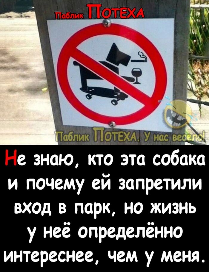 е знаю кто эта собака и почему ей запретили вход в парк но жизнь у неё определённо интереснее чем у меня
