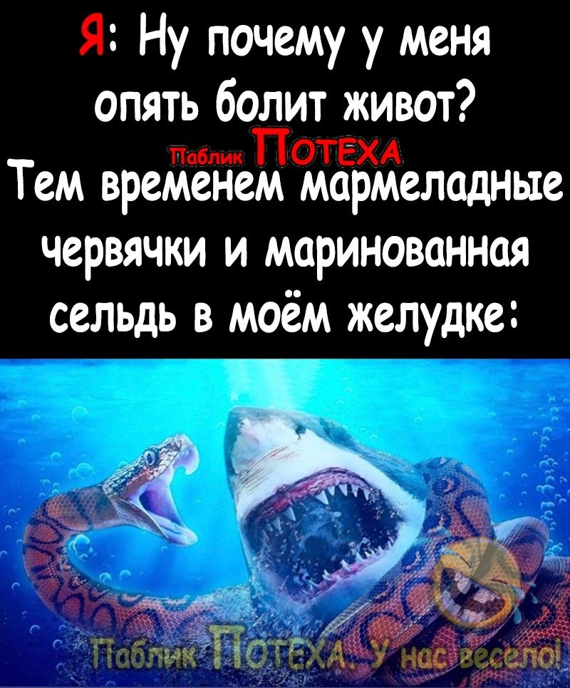 Я Ну почему у меня опять болит живот ТПотехА Тем временем мармеладные червячки и маринованная сельдь в моём желудке