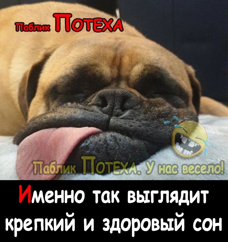 менно так выглядит крепкий и здоровый сон
