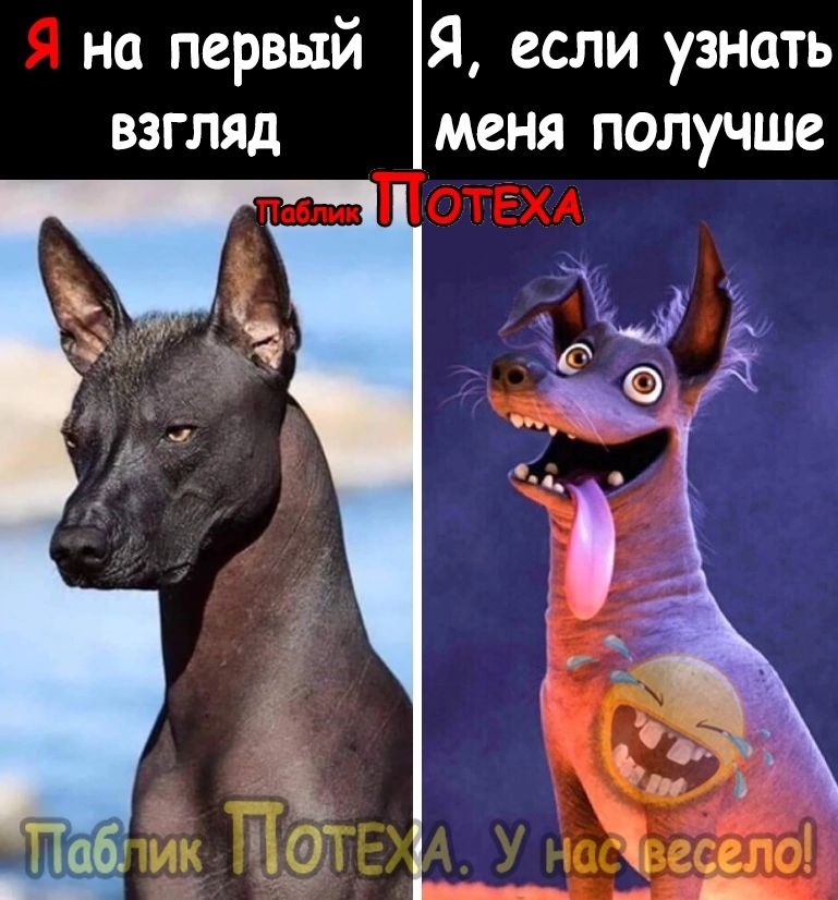 на первый ВЗГляд Я если узнать меня получше