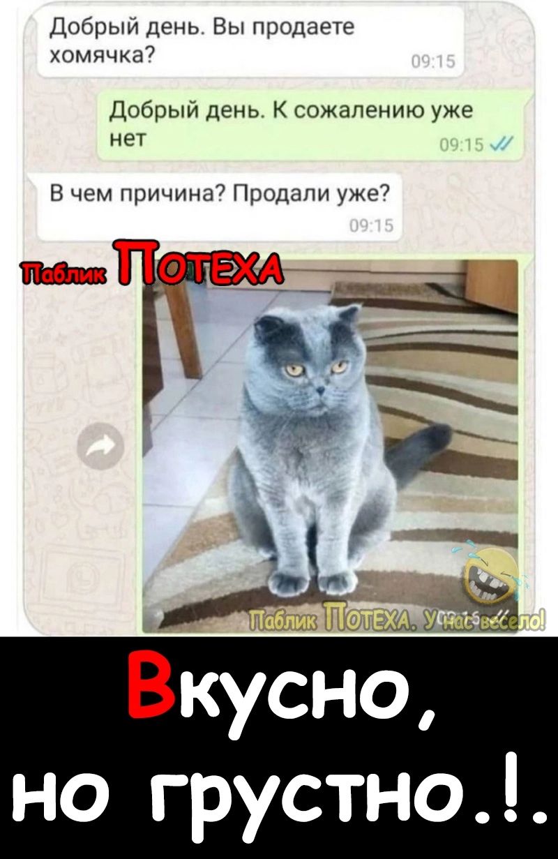 Добрый день Вы продаете хомячка Добрый день К сожалению уже нет В чем причина Продали уже но грустно