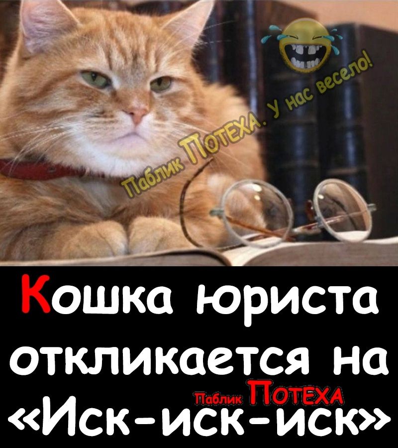 ошка юриста откликается на Иск иск иск