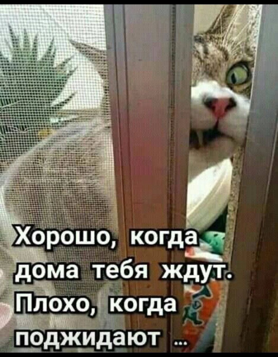 ебя ждут ы Ра ГПлохо когда 5 поджидают