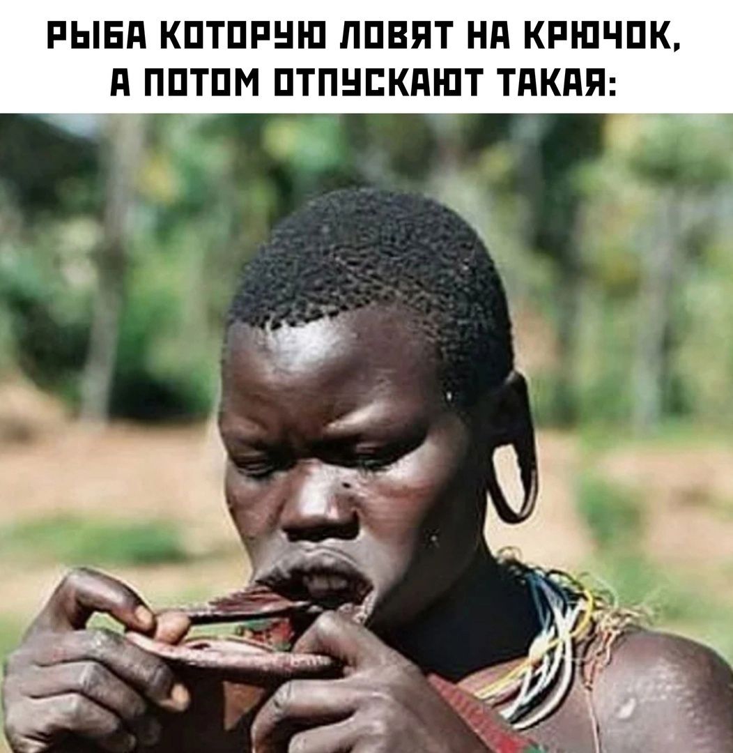 РЫБА КОТОРУЮ ЛОВЯТ НА КРЮЧОК А ПОТОМ ОТПУСКАЮТ ТАКАЯ