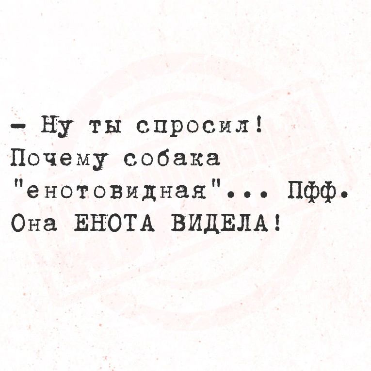 Ну ты спросил Почему собака енотовидная Пфф Она ЕНОТА ВИДЕЛА