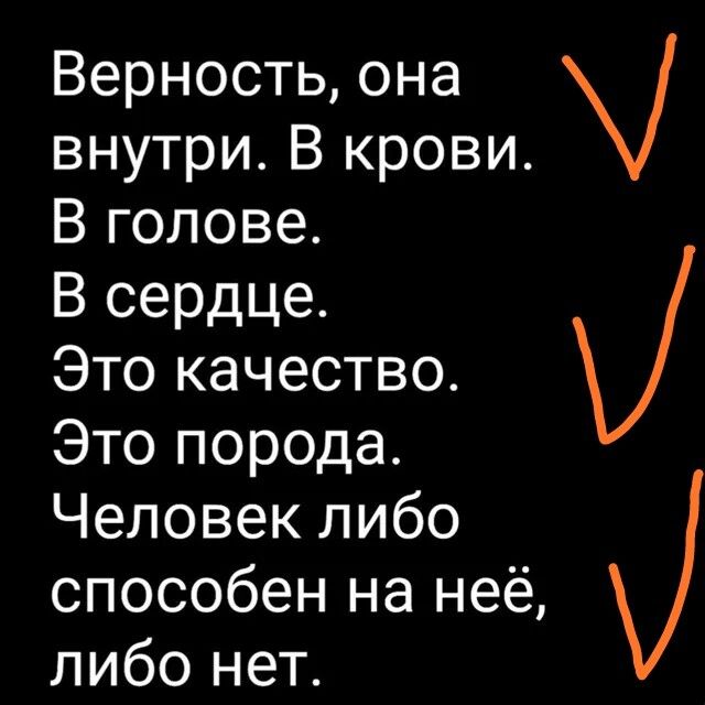 Верность она внутри В крови В голове В сердце Это качество Это порода Человек либо способен на неё либо нет