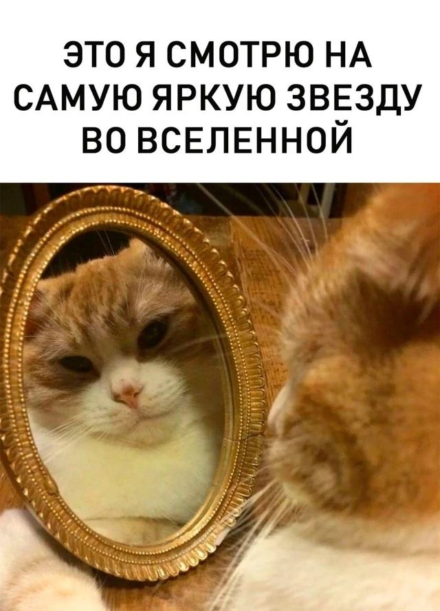 ЭТО Я СМОТРЮ НА САМУЮ ЯРКУЮ ЗВЕЗДУ ВО ВСЕЛЕННОЙ