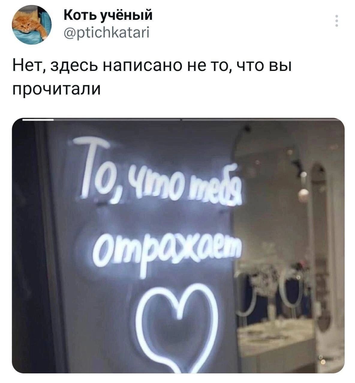 Коть учёный рИсьКаай Нет здесь написано не то что вы прочитали