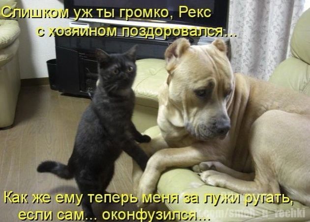 4ь ои й