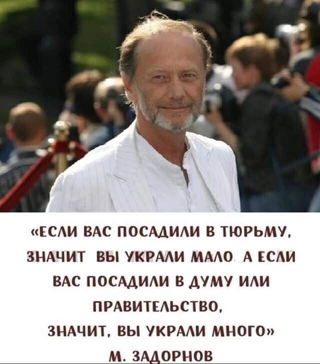 ЕСЛИ ВАС ПОСАДИЛИ В ТЮРЬМУ ЗНАЧИТ ВЫ УКРАЛИ МАЛО А ЕСЛИ ВАС ПОСАДИЛИ В ДУМУ ИЛИ ПРАВИТЕЛЬСТВО ЗНАЧИТ ВЫ УКРАЛИ МНОГО М ЗАДОРНОВ