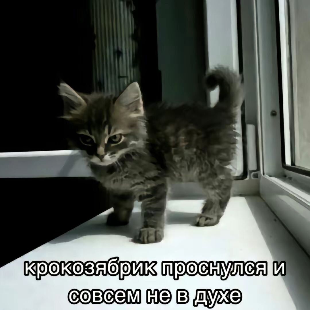 ПрОсНудея о808М 4е В Дух