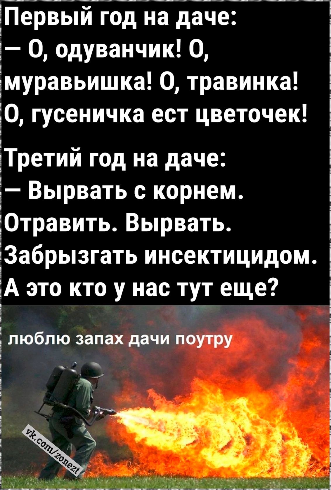 Первый год на даче 0 одуванчик 0 муравьишка 0 травинка ЕО гусеничка ест цветочек і ЁТретий год на даче Вырвать с корнем і Отравить Вырвать кЗабрызгать инсектицидом кА это кто у нас тут еще люблю запах дачи поутру Уч