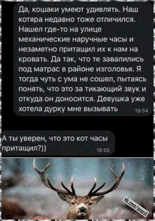 Да кошаки умеют удивлять Наш котяра недавно тоже отличился Г Нашел где то на улице механические наручные часы и незаметно притащил их к нам на кровать Да так что те завалились под матрас в районе изголовья Я тогда чуть с ума не сошел пытаясь понять что это за тикающий звук и откуда он доносится Девушка уже хотела дурку мне вызывать 1954 іА ты увере