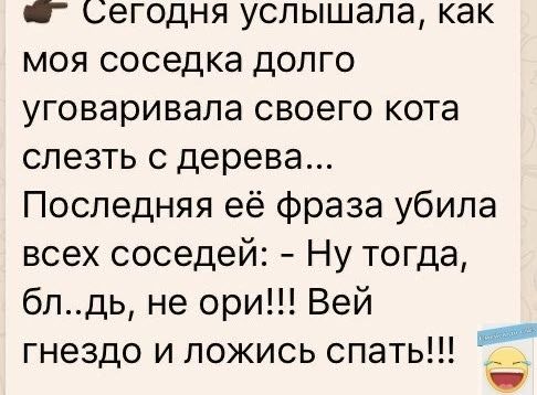 сегодня услышала как моя соседка долго уговаривала своего кота слезть с дерева Последняя её фраза убила всех соседей Ну тогда блдь не ори Вей и гнездо и ложись спать