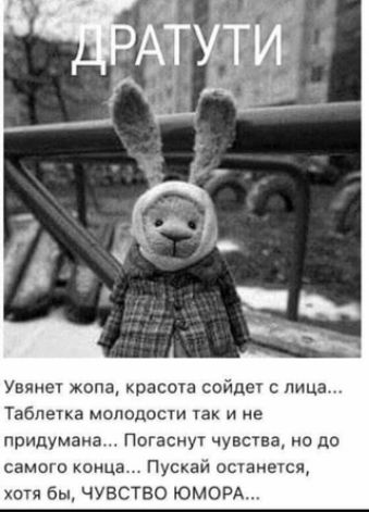 Увянет жопа красота сойдет с лица Таблетка молодости так и не придумана Погаснут чувства но до самого конца Пускай останется хотя бы ЧУВСТВО ЮМОРА