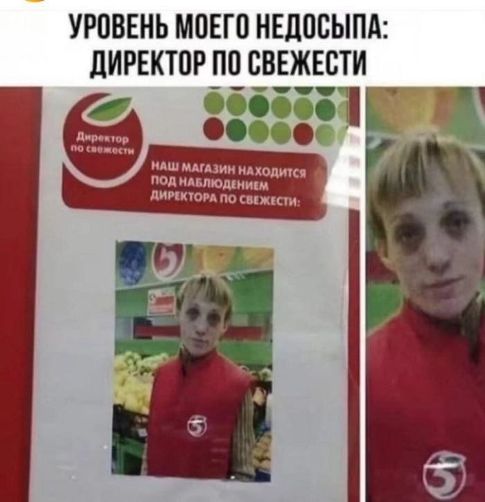 УРОВЕНЬ МОЕГО НЕДОСЫПА ДИРЕКТОР ПО СВЕЖЕСТИ