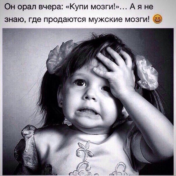 Он орал вчера Купи мозги А я не знаю где продаются мужские мозги е