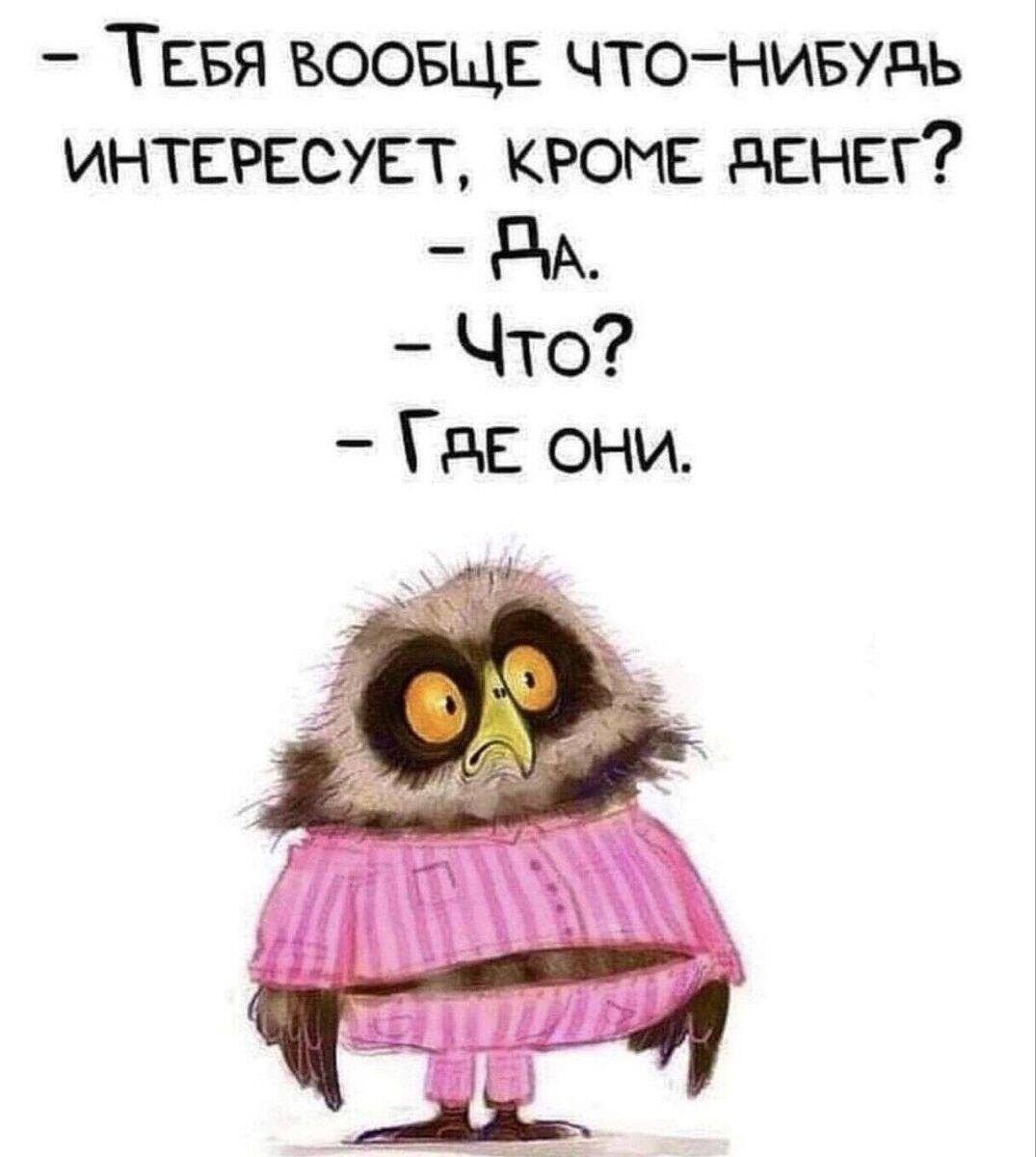 ТЕБЯ ВООБЩЕ ЧТО НИБУВЬ ИНТЕРЕСУЕТ КРОМЕ ВЕНЕГ Вд Что ГаЕ ОНИ