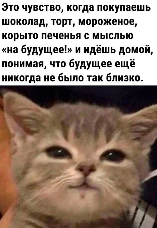 Это чувство когда покупаешь шоколад торт мороженое корыто печенья с мыслью на будущее и идёшь домой понимая что будущее ещё никогда не было так близко