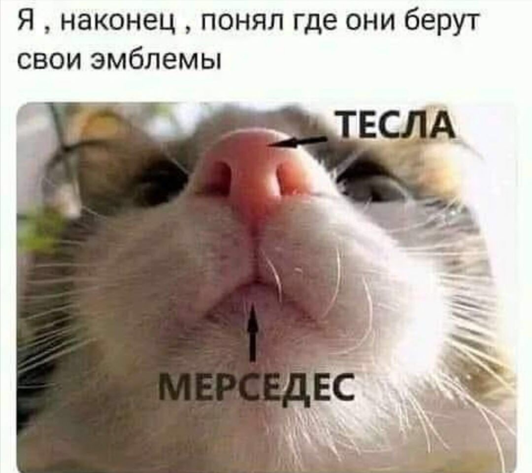 Я наконец понял где они берут свои эмблемы