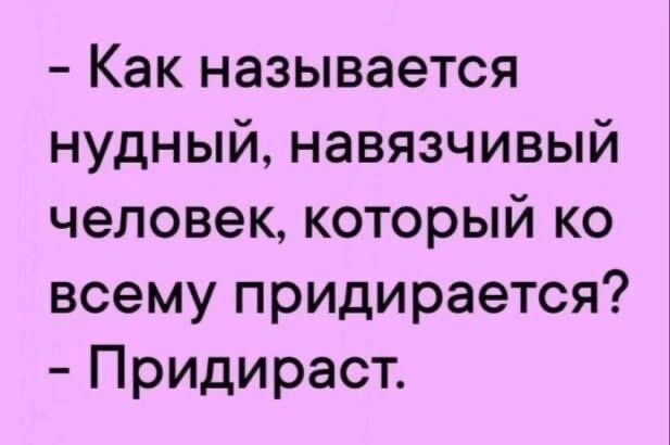 Как называется нудный навязчивый человек который ко всему придирается Придираст