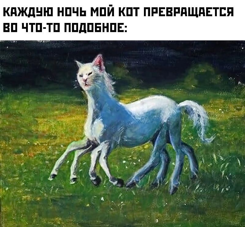 ЖДУЮ НОЧЬ МОЙ КОТ ПРЕВРАЩАЕТСЯ ВО ЧТО ТО ПОДОБНО