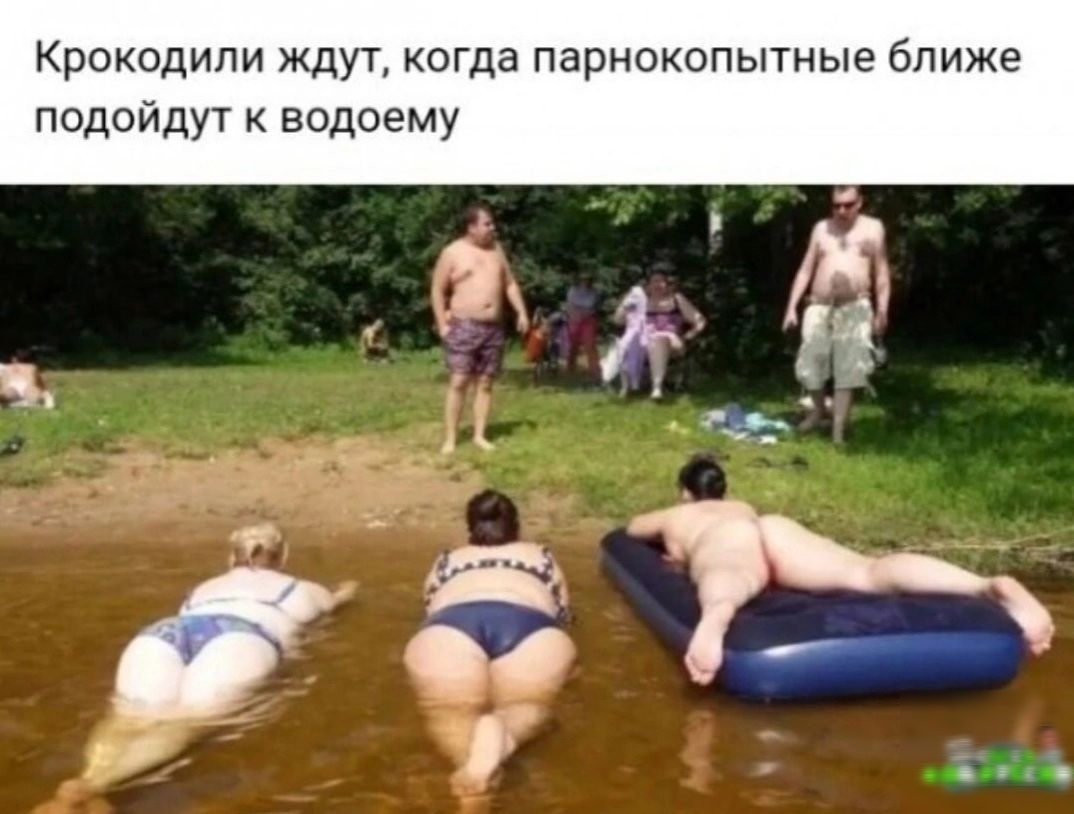 Крокодили ждут когда парнокопытные ближе подойдут к водоему