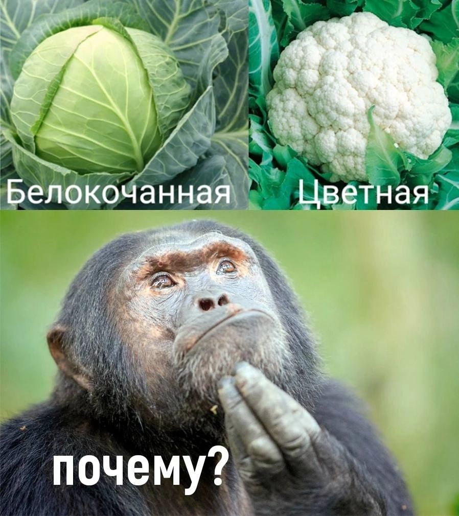 почему