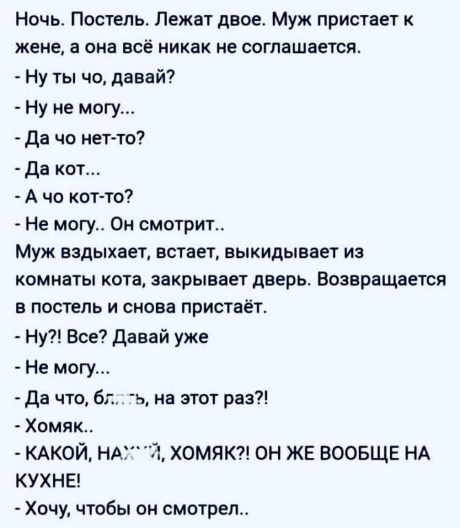 Ночь Постель Лежат двое Муж пристает к жене а она всё никак не соглашается Ну ты чо давай Ну не могу Да чо нет то Да кот Ачо кот то Не могу Он смотрит Муж вздыхает встает выкидывает из комнаты кота закрывает дверь Возвращается в постель и снова пристаёт Ну Все Давай уже Не могу Да что блть на этот раз Хомяк КАКОЙ НА Я ХОМЯК ОН ЖЕ ВООБЩЕ НА КУХНЕ Хо