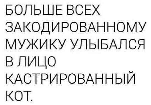 БОЛЬШЕ ВСЕХ ЗАКОДИРОВАННОМУ МУЖИКУ УЛЫБАЛСЯ В ЛИЦО КАСТРИРОВАННЫЙ КОТ