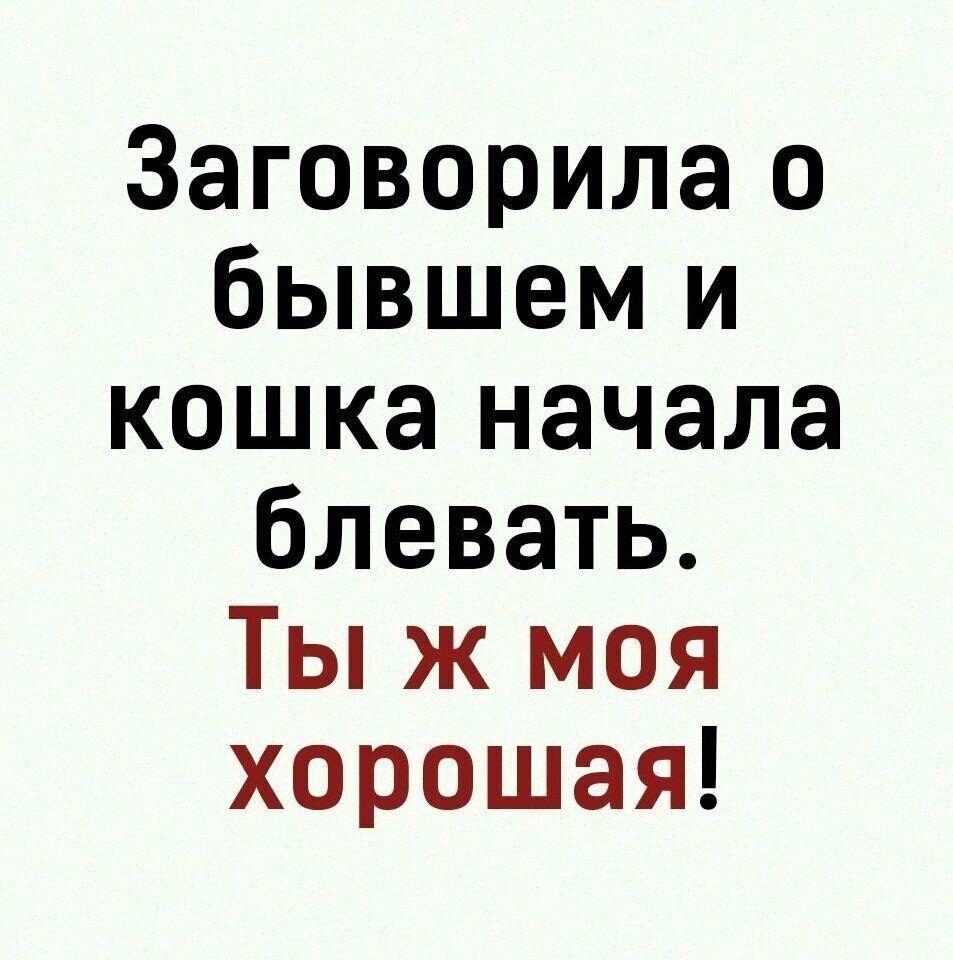 Заговорила о бывшем и кошка начала блевать Ты ж моя хорошая