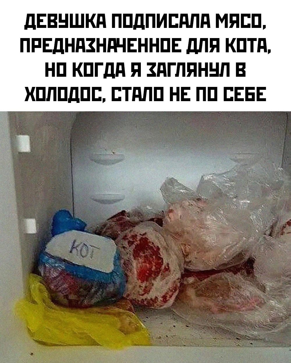 ДЕВУШКА ПОДПИСАЛА МЯСО ПРЕДНАХНАЧЕННОЕ ДЛЯ КОТА НО КОГДА Я ХАГЛЯНУЛ В ХОЛОДОС СТАЛО НЕ ПО СЕБЕ