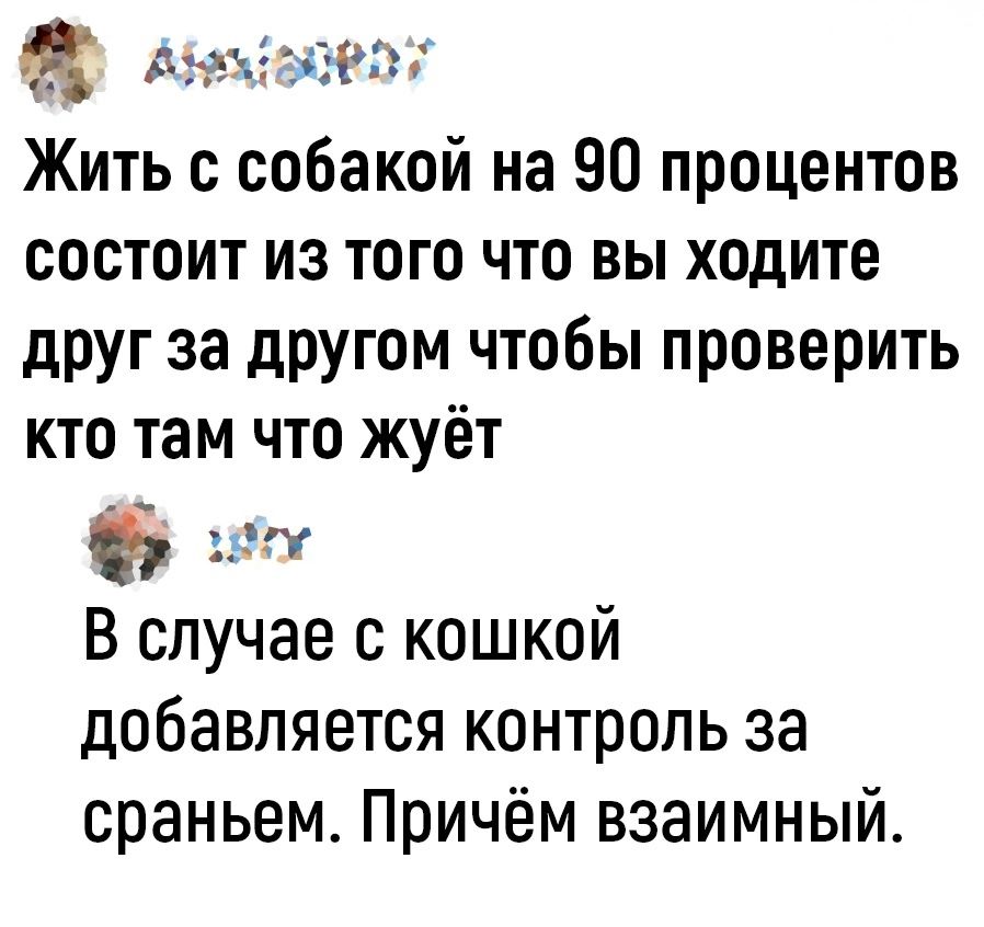 ломво Жить с собакой на 90 процентов состоит из того что вы ходите друг за другом чтобы проверить кто там что жуёт ъ мНх В случае с кошкой добавляется контроль за сраньем Причём взаимный