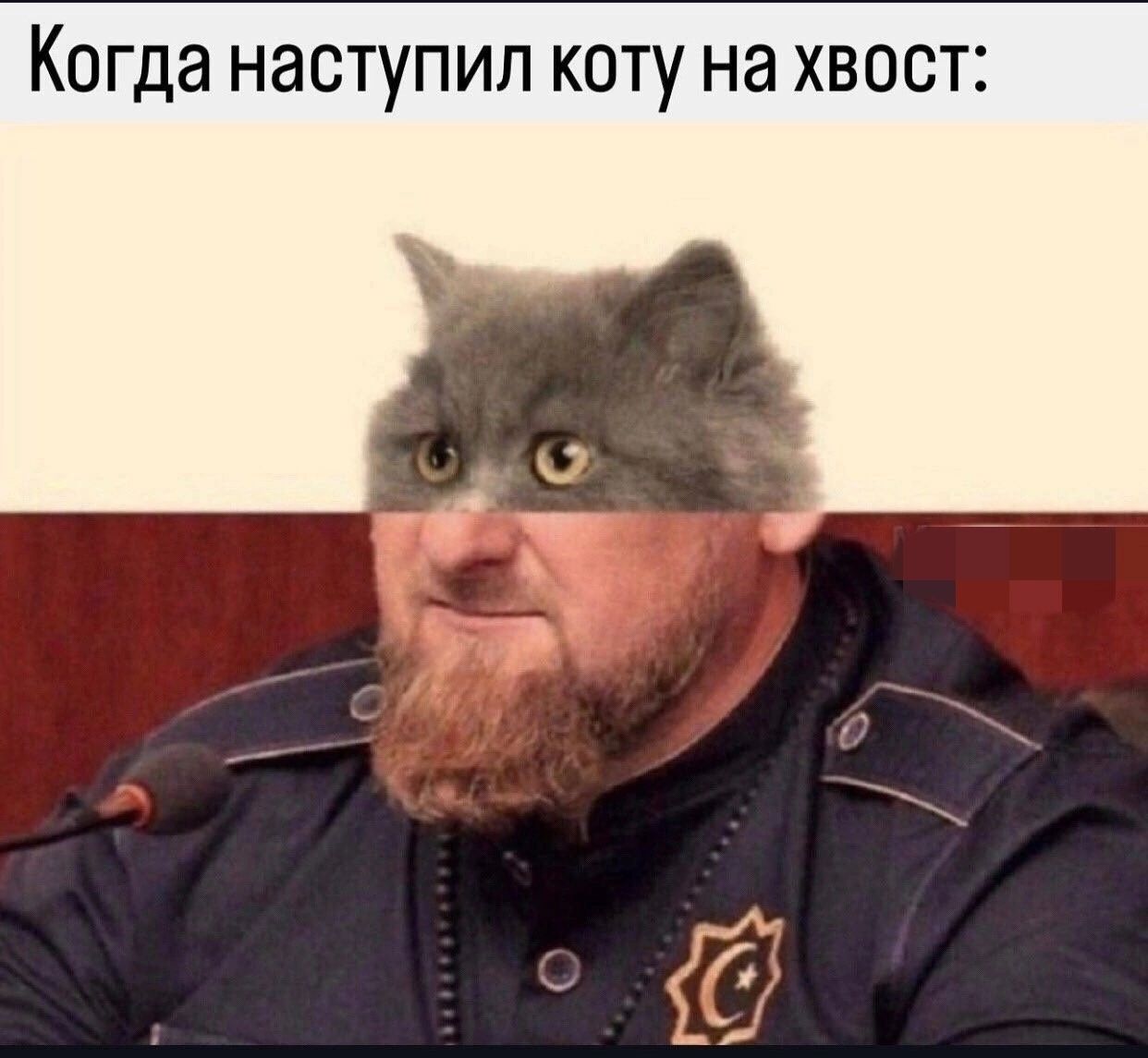 Когда наступил коту на хвост