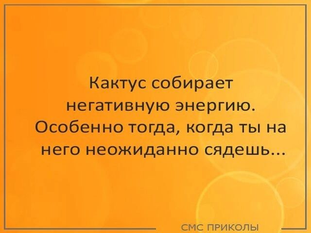 Кактус собирает негативную энергию Особенно тогда когда ты на него неожиданно сядешь смс пРИкоЛЫ