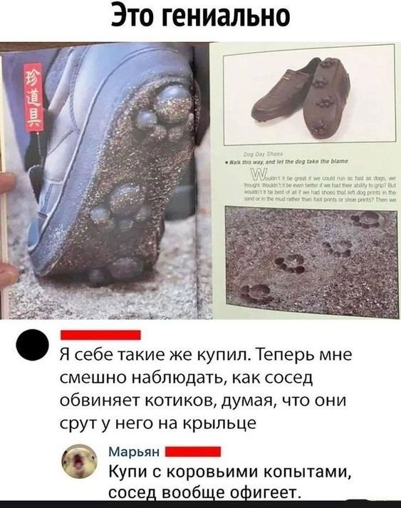 Это гениально аба Я себе такие же купил Теперь мне смешно наблюдать как сосед обвиняет котиков думая что они срут у него на крыльце Марьян иииини КУПИ с коровьими копытами сосед вообше оигеет