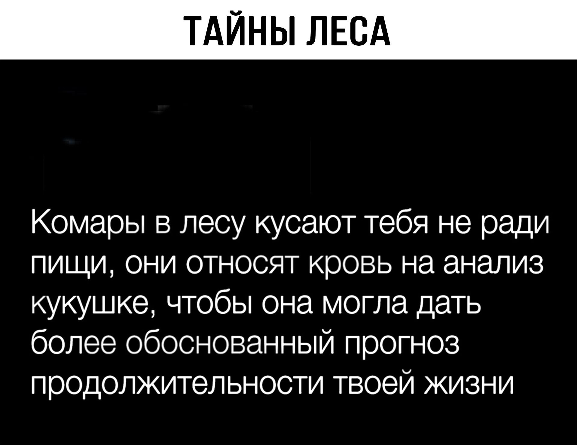 ТАЙНЫ ЛЕС Комары в лесу кусают тебя не ради пищи они относят кровь на анализ кукушке чтобы она могла дать более обоснованный прогноз продолжительности твоей жизни