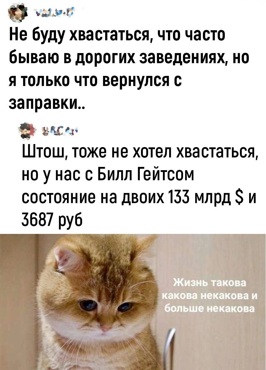 шо Не буду хвастаться что часто бываю в дорогих заведениях но я только что вернулся с заправки ЗАС з Штош тоже не хотел хвастаться но у нас с Билл Гейтсом состояние на двоих 133 млрд и 3687 руб