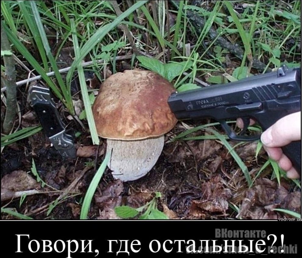 Говори где остальные